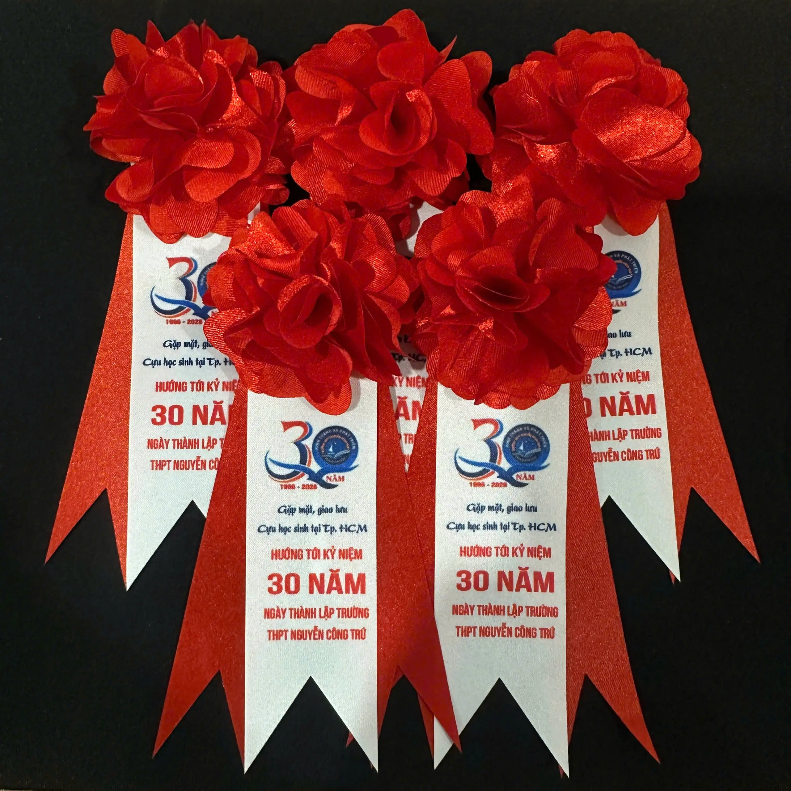Hoa Đại Biểu C&agrave;i &Aacute;o